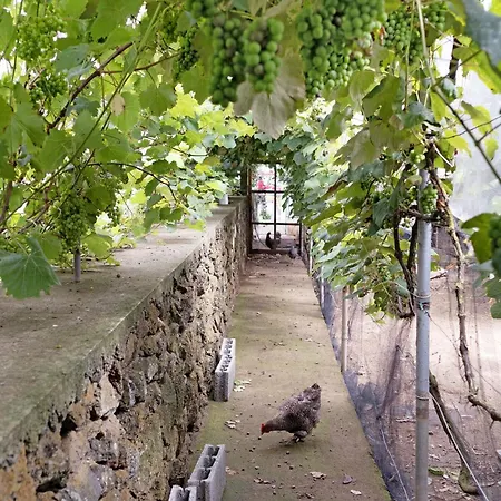 Casa Rosas Angra do Heroísmo