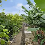 Casa Rosas