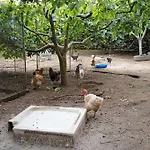 Casa Rosas *