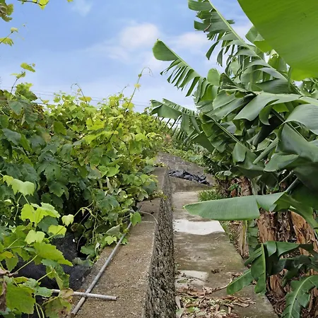 Casa Rosas