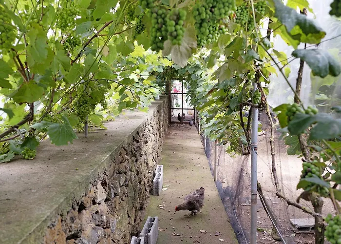 Casa Rosas Angra do Heroísmo