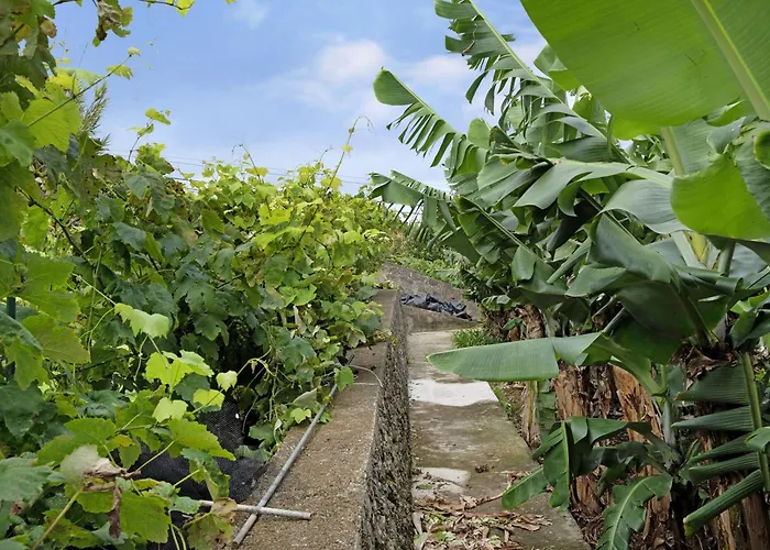 Casa Rosas Angra do Heroísmo